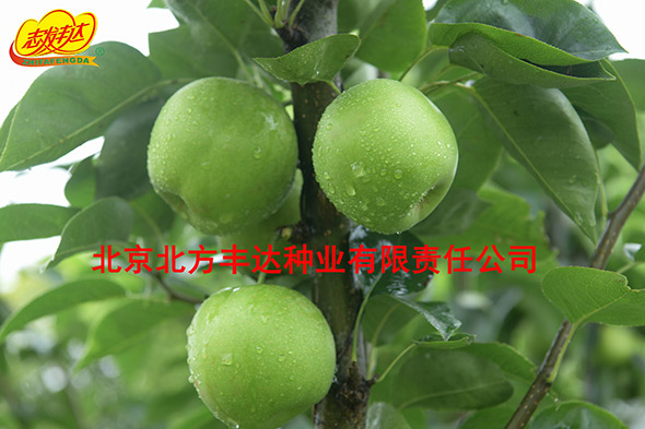 �������������ҵ���޹�˾